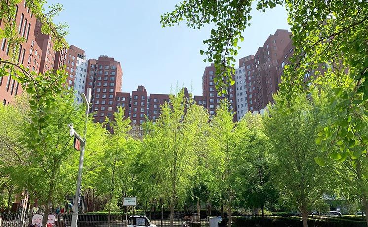 朝阳区 西大望路3号院2号楼4层C单元507（蓝堡国际公寓）