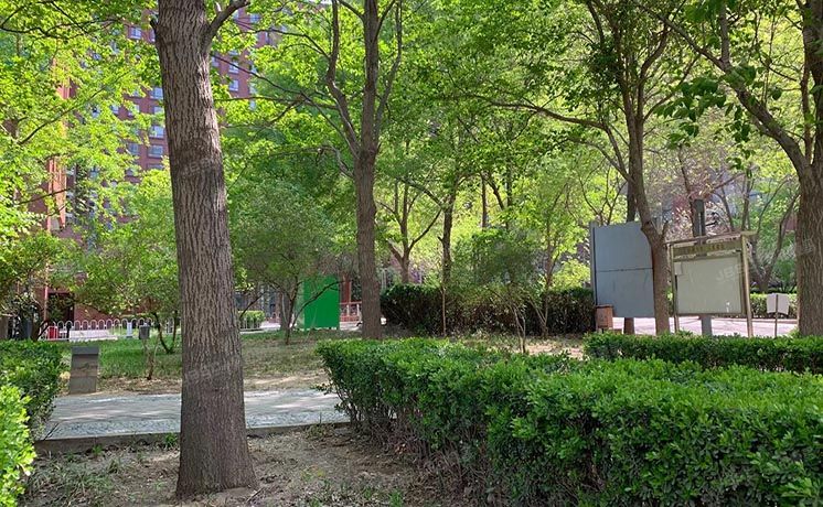 朝阳区 西大望路3号院2号楼4层C单元507（蓝堡国际公寓）