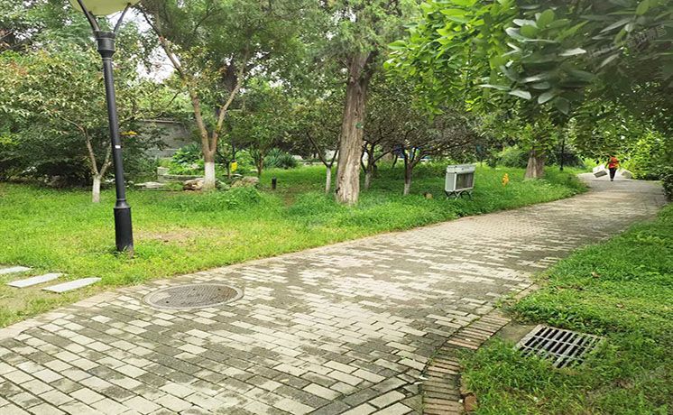 西城区 永定门内西大街3号院2号楼5至6层②-5-210（耕天下）