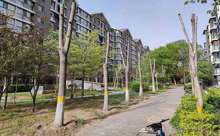 海淀区 润千秋佳苑3号楼1-501号+2车位（润千秋佳苑）