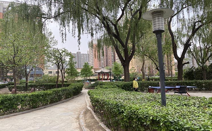 朝阳区 九龙山家园5号楼16层1门1610室（九龙花园）