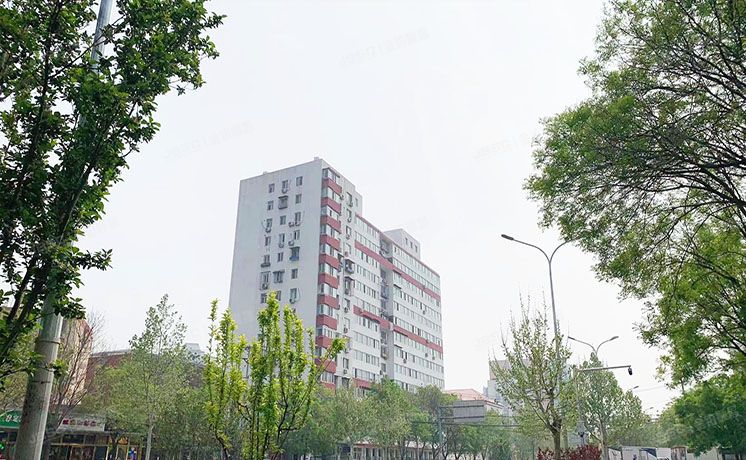 朝阳区 望京路3号院1号楼5层东5-2（望京路3号院）