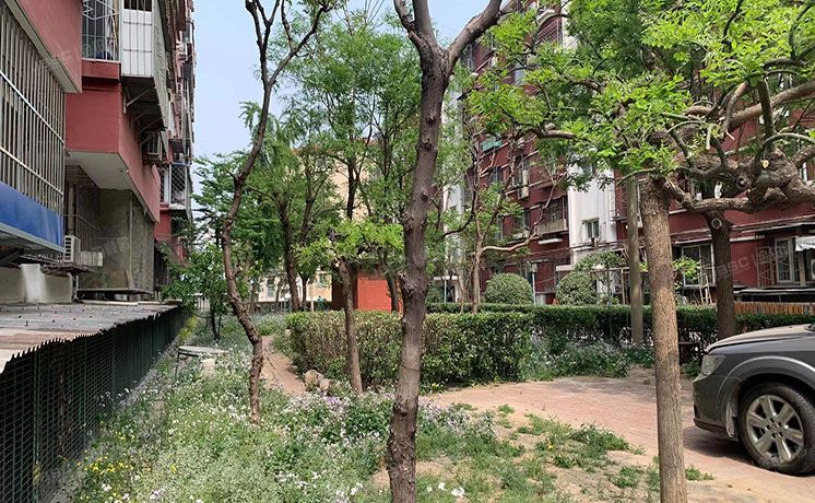 朝阳区 望京路3号院1号楼5层东5-2（望京路3号院）