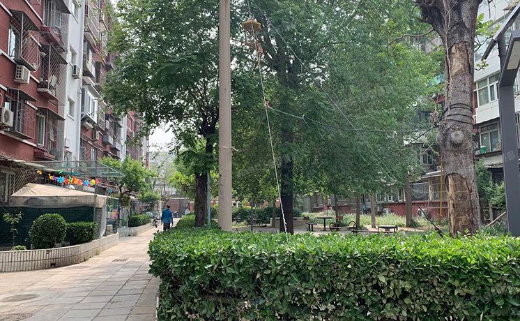 朝阳区 望京路3号院1号楼5层东5-2（望京路3号院）