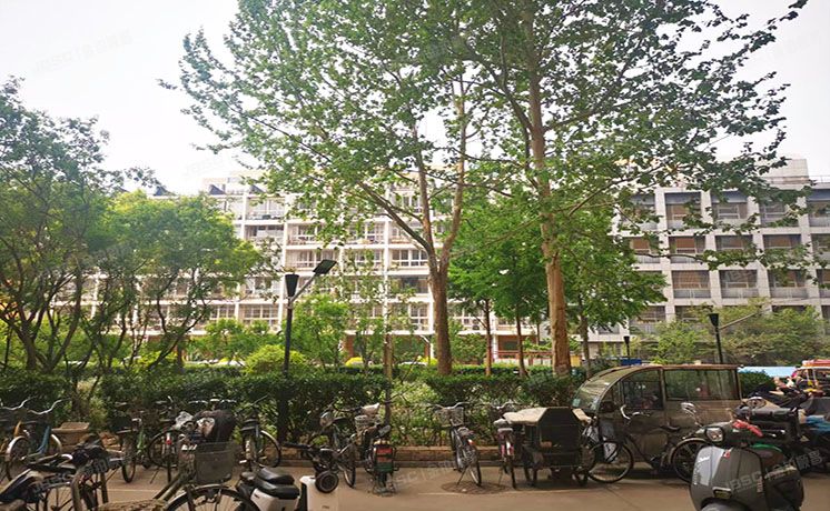 西城区 樱桃二条8号院1号楼3层⑥-3-303（樱桃二条8号院）