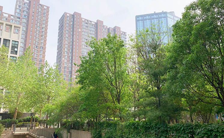 朝阳区 嘉美风尚小区1号楼2单元1903室+车位（嘉美风尚）