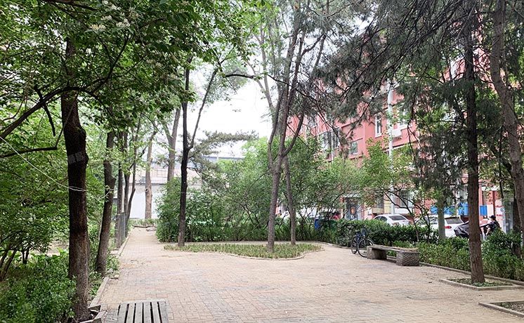 东城区 地坛北里5号楼1层1单元101号（地坛北里）