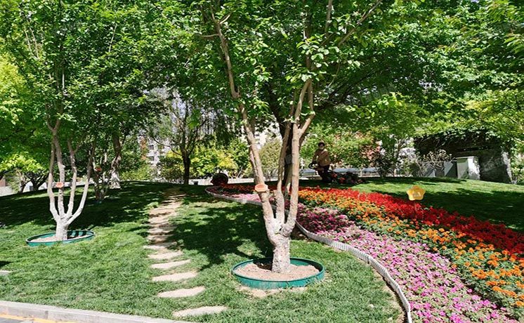 朝阳区 向军北里28号院2号楼16层1单元1902（圣世一品）