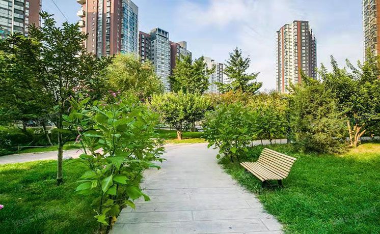 朝阳区 望京澳洲康都小区配套会所  商业