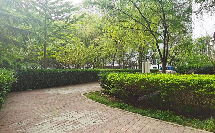 海淀区 林业大学北路18号院1号楼12层1202（文成杰座）