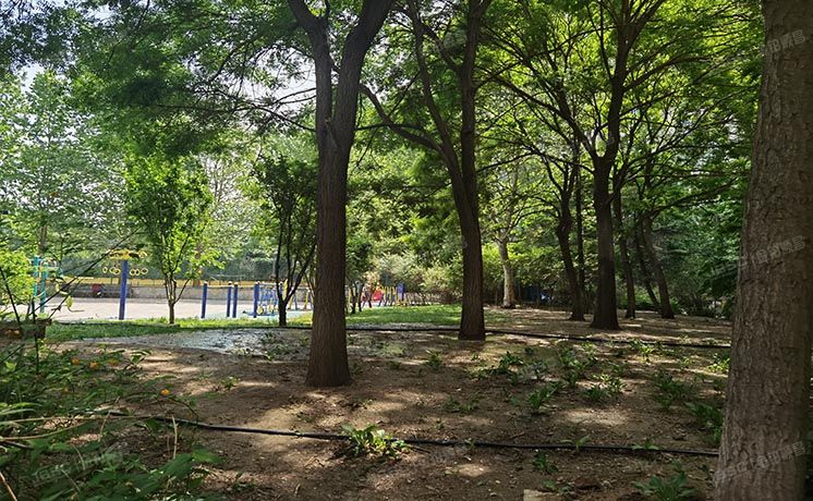 朝阳区 延静里中街甲18号2号楼2单元1601号（华业玫瑰东方）