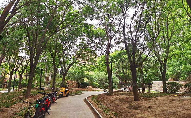 通州区 龙旺西里105号楼3层1单元302（k2清水湾）