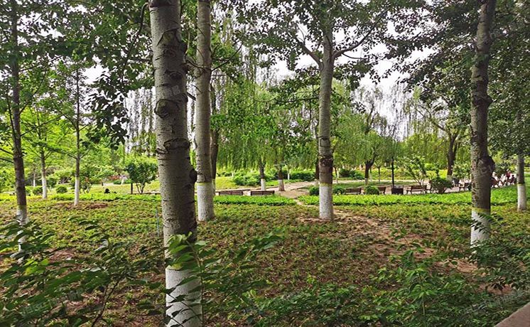 通州区 龙旺西里105号楼3层1单元302（k2清水湾）