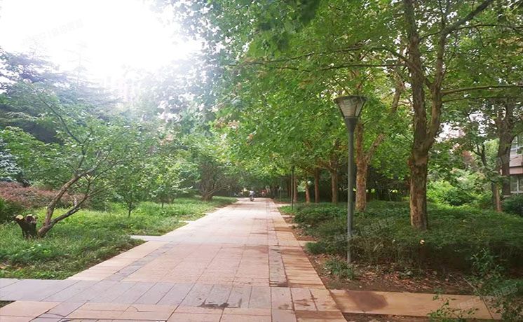 经济技术开发区 荣京北小街6号院9号楼11层1103（林肯时代）办公