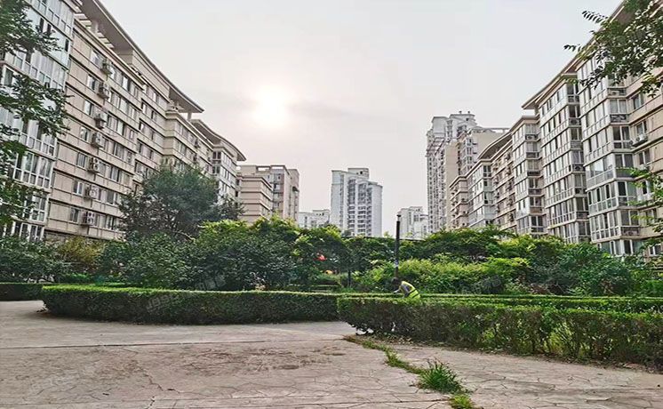 朝阳区 拂林园20号楼21层2104（拂林园）