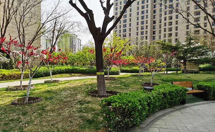 朝阳区 来广营西路4号院2号楼9层901（望京金茂府）