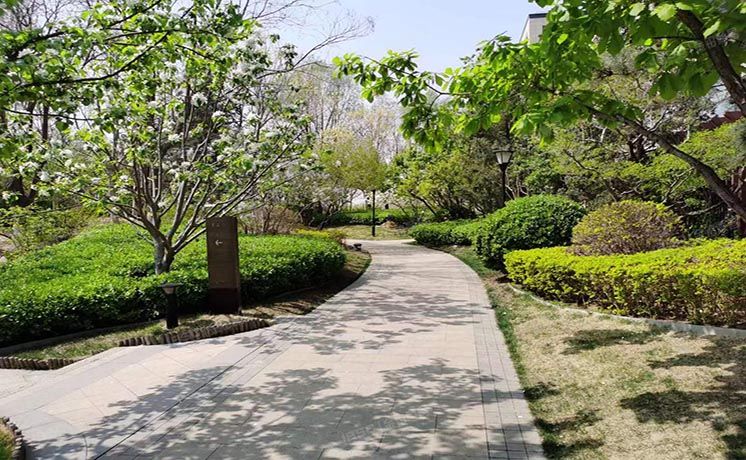 朝阳区 来广营西路4号院2号楼9层901（望京金茂府）