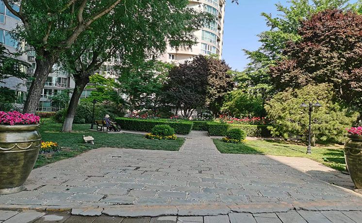 东城区 安定门东河滨路3号院A座1204室（雍和家园）