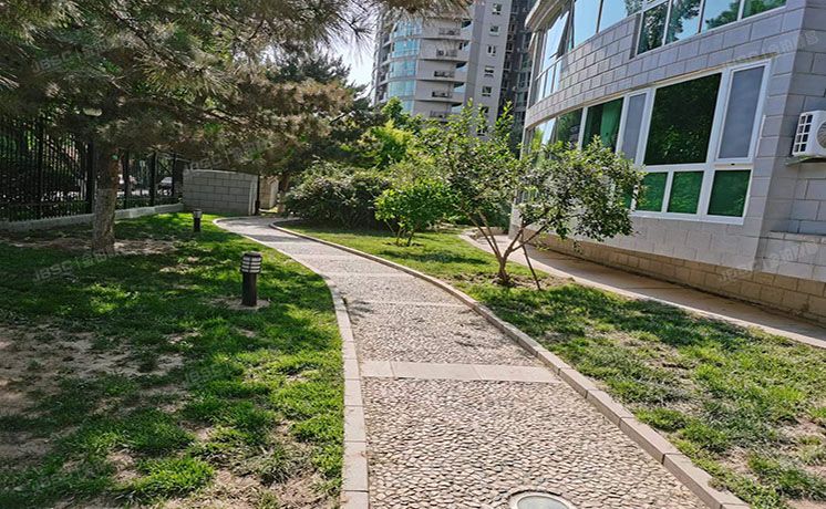 东城区 安定门东河滨路3号院A座1204室（雍和家园）