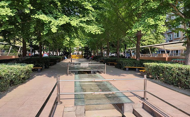 西城区 西砖胡同2号院8号楼6层⑤-6-705（枫桦豪景）