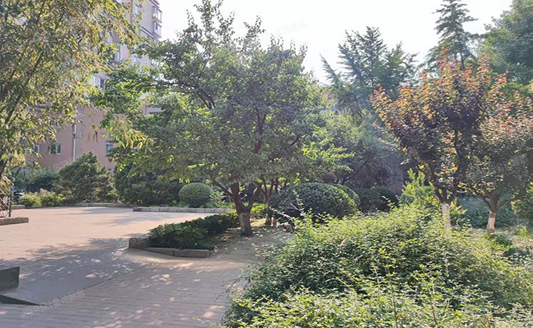 西城区 西砖胡同2号院8号楼6层⑤-6-705（枫桦豪景）