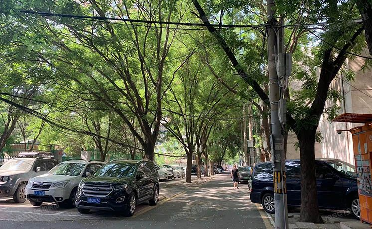 朝阳区 柳芳北里4号楼2层201室（柳芳北里）