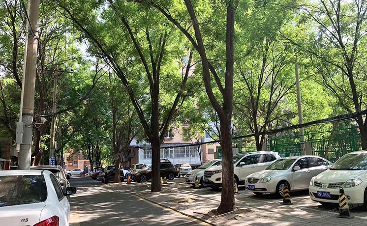 朝阳区 柳芳北里4号楼2层201室（柳芳北里）