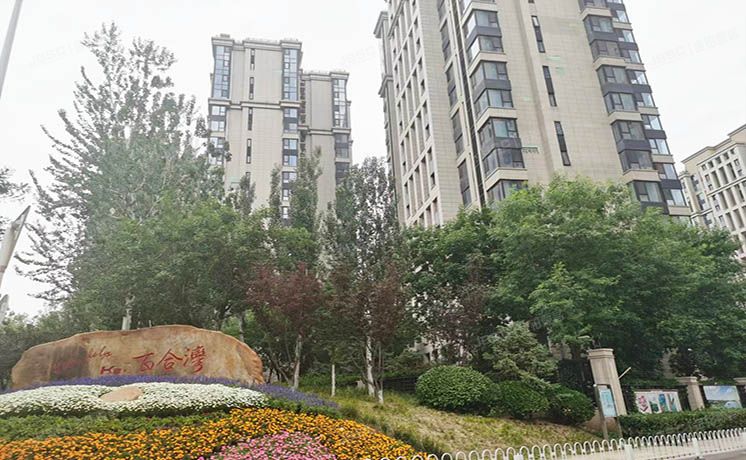 通州区 东果园1号楼5层501号（k2百合湾）