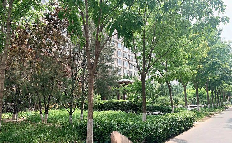 朝阳区 西大望路19号院4号楼6层6单元602（金港国际）