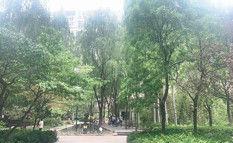 朝阳区 华业玫瑰东方1号楼18层4单元1801号