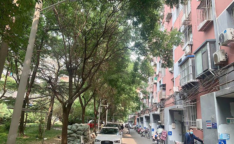 西城区 马甸南村14号楼6层163（马甸南村）