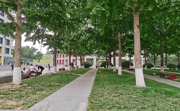 东城区 香河园街1号院北区7号楼9层1001（万国城MOMA）