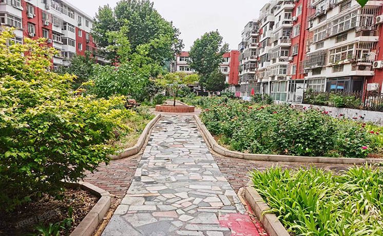 朝阳区 建东苑17号楼1层1门101（建东苑）