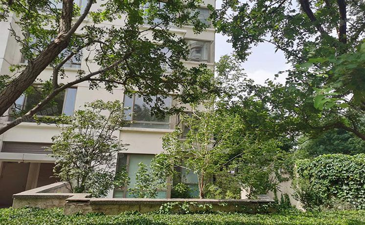 朝阳区 公园大道1号楼1层1H