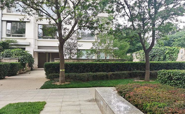 朝阳区 公园大道1号楼1层1H