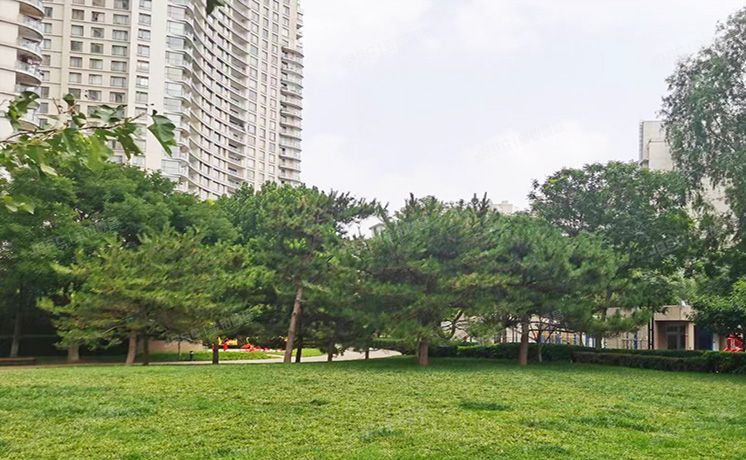 朝阳区 公园大道1号楼1层1H