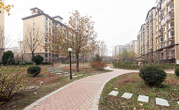 海淀区 白家疃尚峰园1号楼2层206（尚峰尚水）办公