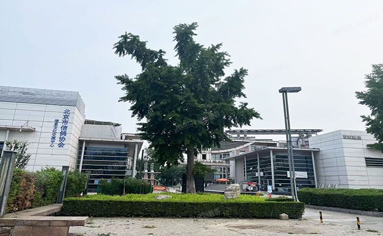 朝阳区 京城雅居45号楼1至2层E单元102号