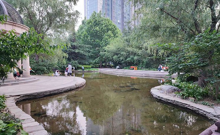 通州区 芙蓉园287号楼4层1单元506室（京贸国际城）