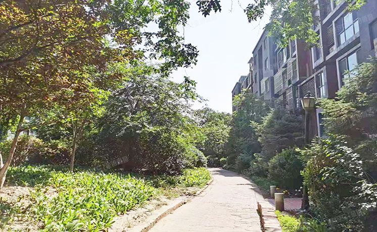 朝阳区 双桥南街9号院5号楼1层1单元101号（华美橡树岭）