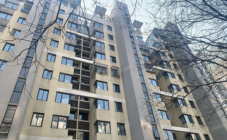 大兴区 黄村中里36号楼11层5单元1101号（时代龙和大道）复式