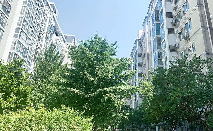 丰台区 镇国寺北街4号院9号楼-4-603室（星河城冬季星空）