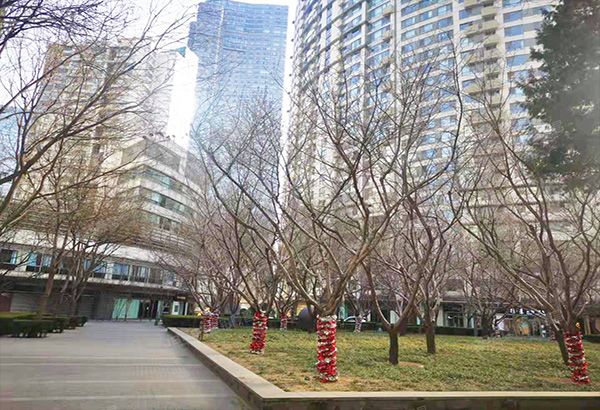 朝阳区 朝外大街6号18号楼3层501（新城国际）