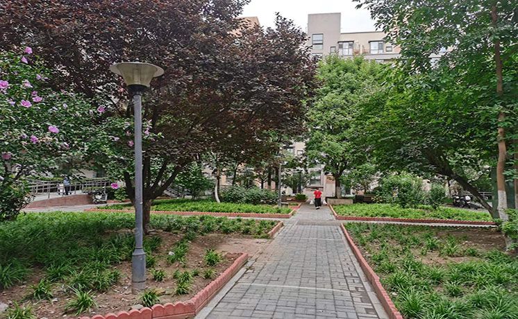 朝阳区 百子湾东里216号楼5层3单元502号（沿海赛洛城六期）