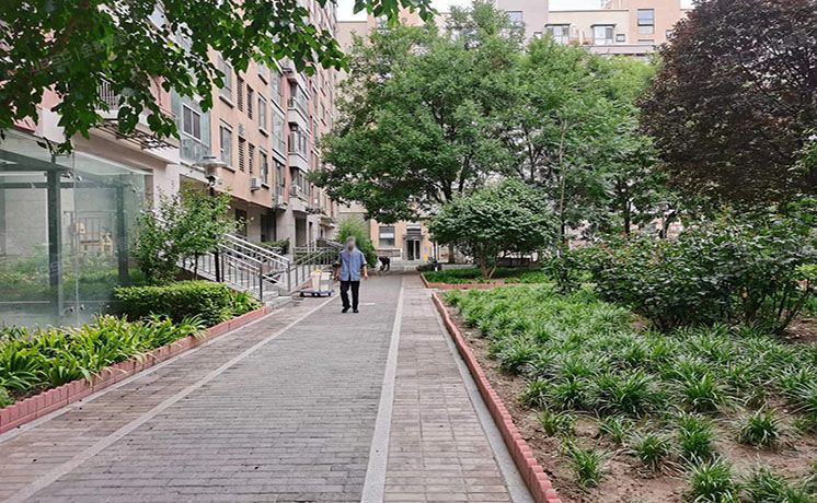 朝阳区 百子湾东里216号楼5层3单元502号（沿海赛洛城六期）