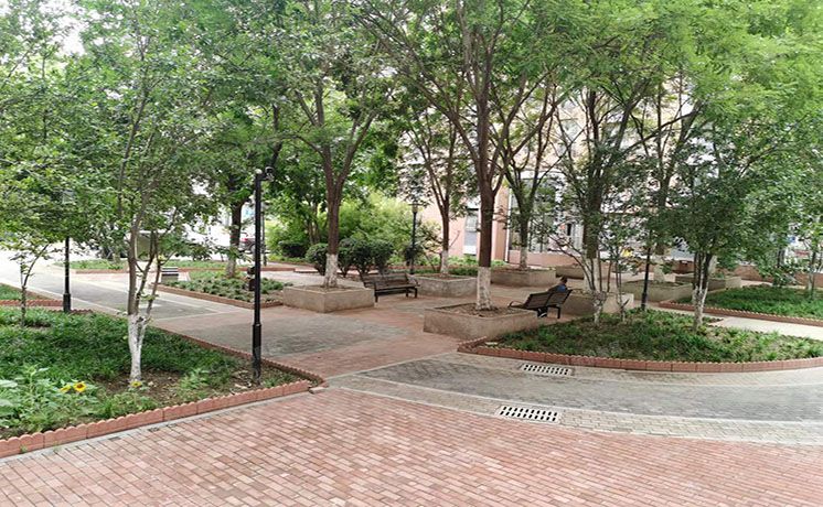 朝阳区 百子湾东里216号楼5层3单元502号（沿海赛洛城六期）