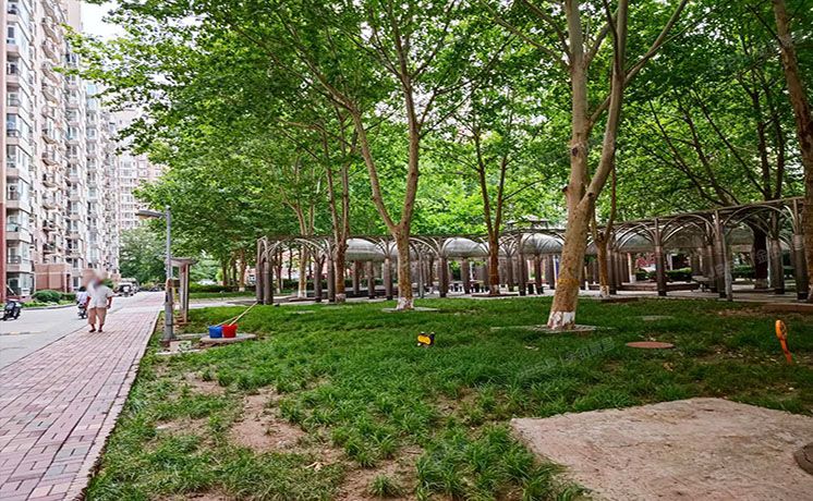 海淀区 魏公村街1号韦伯豪家园3号楼10层一单元1002（韦伯豪家园）