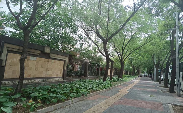 海淀区 万寿寺中海紫金苑3号楼3层1门302（中海紫金苑）