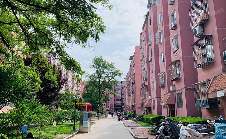 朝阳区 兴隆家园41号楼3层3门302（兴隆家园）