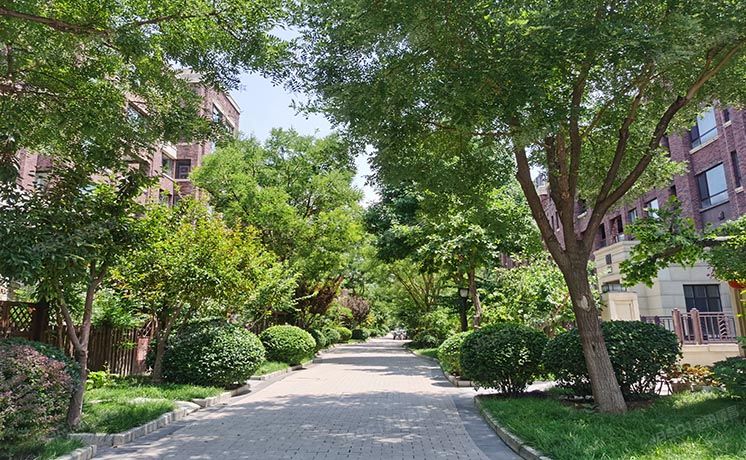 通州区 寨辛庄东路8号院14号楼5至6层3单元501（旭辉御锦）